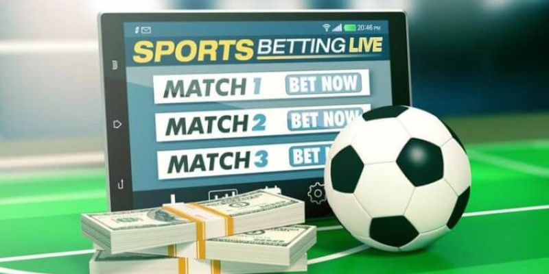 Kèo xuất hiện nhiều ở khu vực Hồng Kông